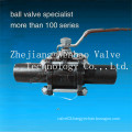 3PC Carbon Steel Extended Butt-Weld Ball Valve